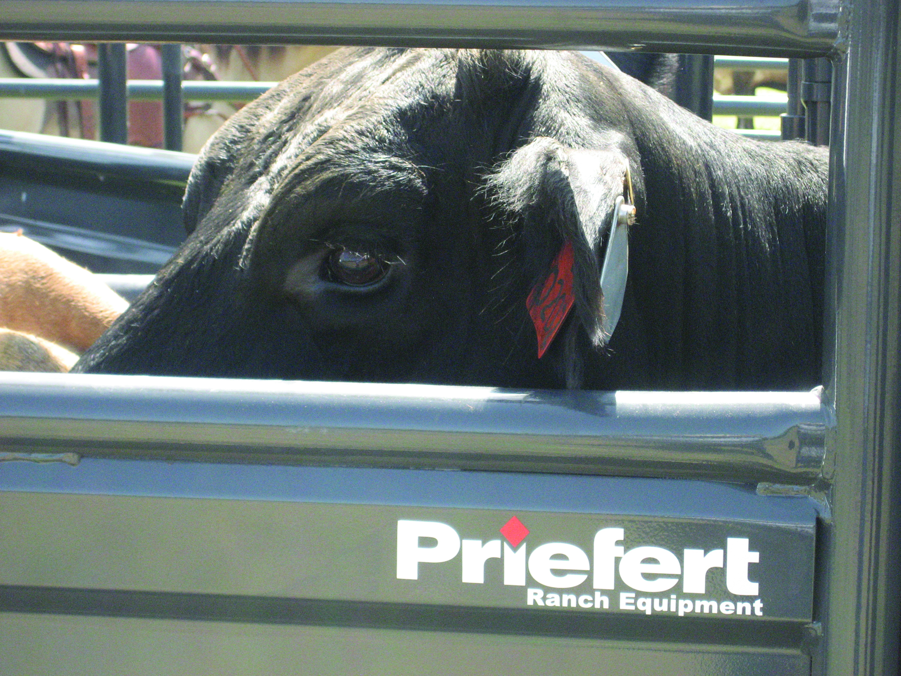 Solid Sheeted Panel SS 01.jpg